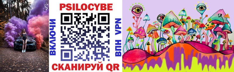 Купить где  Свободный  Галлюциногенные грибы Cubensis 